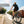 Doberman Ebike