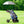 4 Wheel Folding Golf Pull Push Cart Trolley