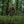 M-Tac Alder Camouflage Suit Multicam
