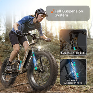 Boxer ST Ebike