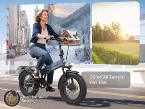 Dachshund Ebike