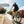 Doberman Ebike