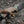 M-Tac Knife Lanyard Zeus - TRAPSKI