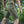 M-Tac Shorts Aggressor Gen.II Flex