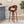Modern Bar Stool with Swivel Function