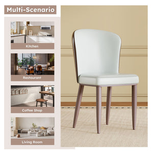Dining Chair With Carbon Steel Legs, Comfortable Seating, (Set of 2) - White