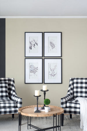 Verdura Botanica: Four-Print Houseplant Pencil Art Set