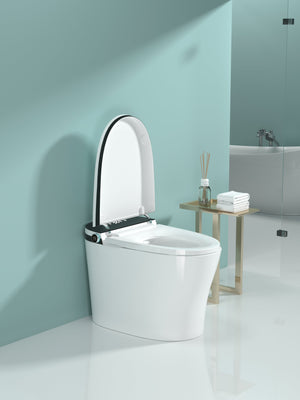 Smart Toilet with Bidet Built In, Heated Seat, Auto Flush, and LED Display