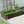 8x4x1.5 ft Galvanized Raised Garden Bed