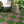 New Stone Texture 12