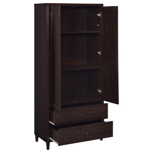 Nestor - 2 Drawer Tall Accent Cabinet With 2 Doors - Rustic