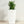 Indoor Outdoor Planter With Automatic Watering System