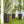 Outdoor Flower Plant Pots, Set of 3 Tall Planters with Drainage Hole
