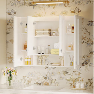 Wall Mounted Bathroom Cabinet With 5 Adjustable Shelves