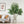 7FT Artificial Willow Tree Indoor Faux Greenery Plant
