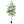6Ft Artificial Ficus Tree With Natural Trunk In Pot For Indoor Home Office Decor - Green Leaves
