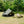 Oxford Bell Tent 13.1FT with Stove Jack for Family Camping