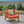 Brava Mid-Century Modern Club Chair with Water Resistant Cushions