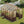 8x10 FT Greenhouse Kit
