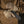 M-Tac Gloves Assault Tactical Mk.4 - TRAPSKI
