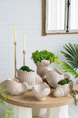 11.5x6.7x7.7" Sand and Cement Nautilus Shell Planter with Textured Beige Finish