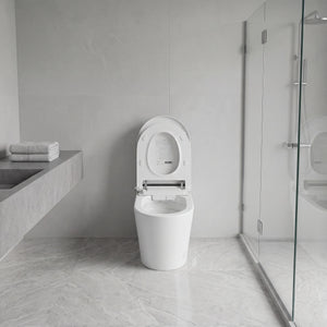 Household Luxury Intelligent Toilet