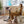 Mobile Adjustable Standing Desk