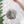 Iced Leaf/Twig Ball Christmas Tree Ornaments - Set of 4