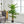 Artificial Palm Tree by House of Zazla
