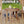 Outdoor Acacia Wood Side Table, Solid Side Table For Patio, Pool, Porch - Brown Wash