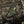 M-Tac Patch Trench Cat