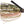 Swim Jig