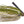 Swim Jig