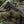 M-Tac Tactical Watch 2166