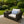 2 Pack Outdoor Lumbar Pillow Covers - Blue Dash