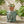 Elephant Garden Stool