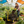 Wagon Cart Garden Cart Trucks Make Transporting Firewood Easier