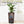 Planter For Outdoor