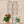 2 Pack Metal Garden Trellis 86.7