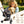 Pet Stroller for Dogs and Cats, 2-in-1 Detachable Foldable Design