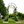Metal Garden Arch with Two Plant Stands