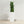 Indoor Outdoor Planter With Automatic Watering System