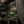M-Tac MOLLE Patch Clover