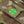 M-Tac MOLLE Patch Clover
