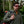 Men's Deluge Sanded Nylon Jacket
