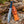 Hand Forged 5160 Spring Steel Bowie Knife with Black Micarta Handle