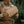 M-Tac Admin pouch Large Elite Gen.II