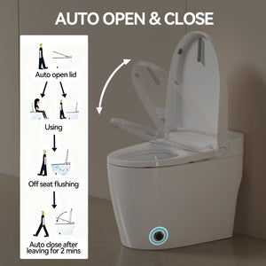 Unique Smart One-Piece Toilet with Bidet and Auto Seat