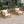 Outdoor Acacia Wood Club Armchair with Cushions (Set of 4)