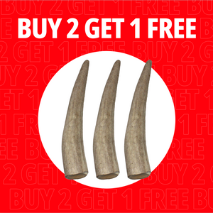 Small Antlers